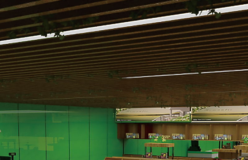 LG05bn LED Batten montáž